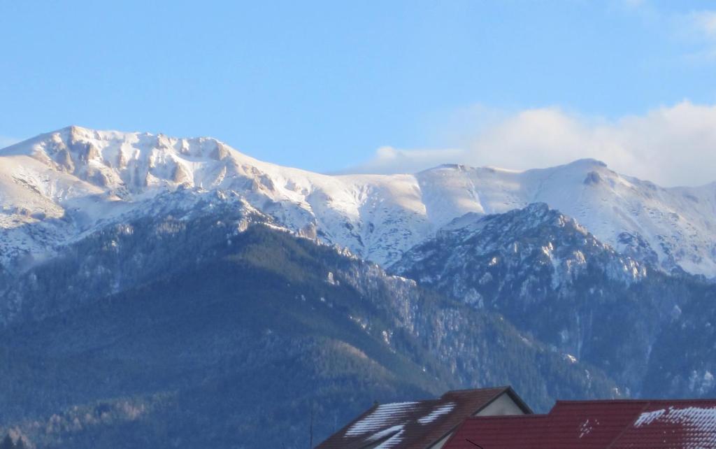 Pensiunea Ando Bran  Exterior foto