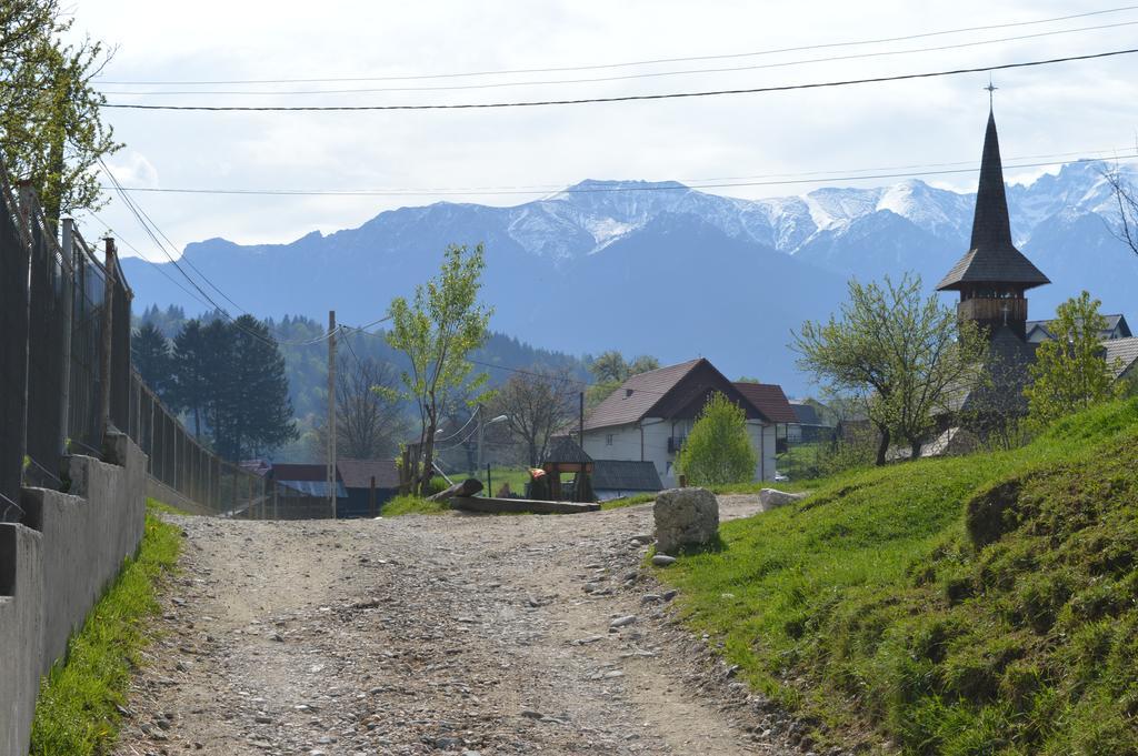 Pensiunea Ando Bran  Exterior foto